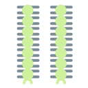 external caterpillar-insect-flat-lima-studio icon