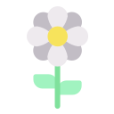 external flower-flower-flat-lima-studio-11 icon