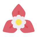 external flower-flower-flat-lima-studio-9 icon