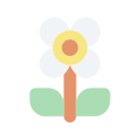 external flower-international-children-day-flat-lima-studio icon
