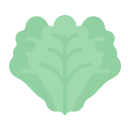external leaf-vegetable2-flat-lima-studio icon
