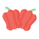 external pepper-vegetable-flat-lima-studio icon
