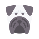external pug-dogs-flat-lima-studio icon