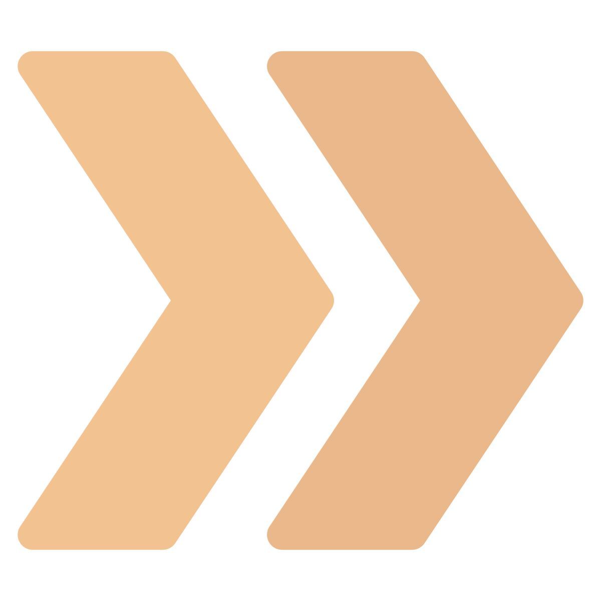 flèche d'avance rapide icon