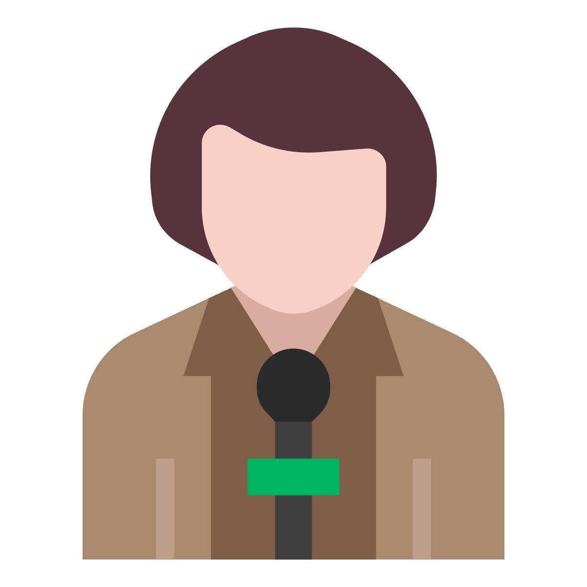 journalist icon