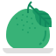 external pomelo-chinese-new-year-flat-wichaiwi icon