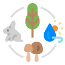 external ecology-climate-change-flat-wichaiwi icon