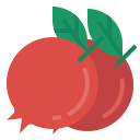 external pomegranate-chinese-new-year-flat-wichaiwi icon