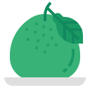 external pomelo-chinese-new-year-flat-wichaiwi icon