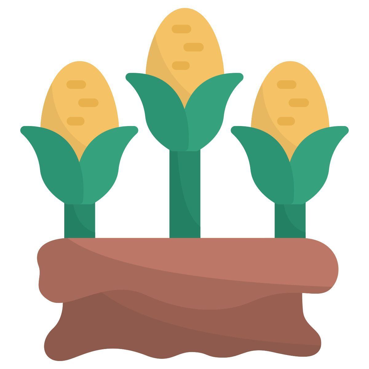 corn icon