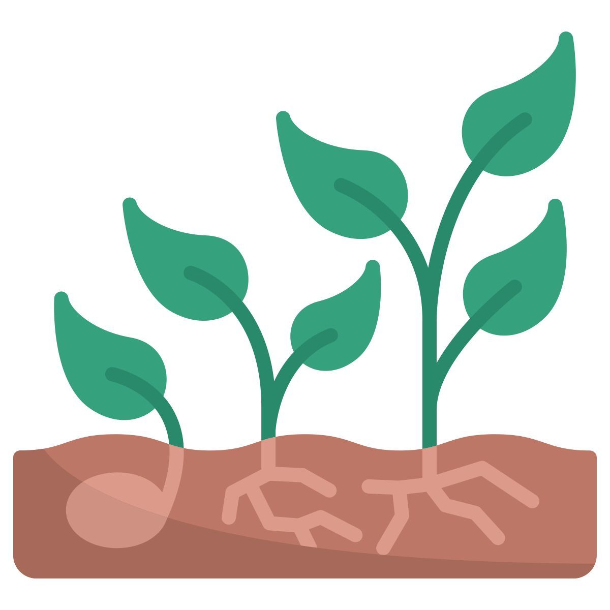 growth icon