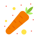 external carrot-spring-flatart-icons-flat-flatarticons icon