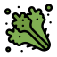 external kale-diet-and-nutrition-flatart-icons-lineal-color-flatarticons icon