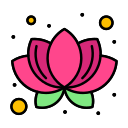 external lotus-holi-flatart-icons-lineal-color-flatarticons-1 icon