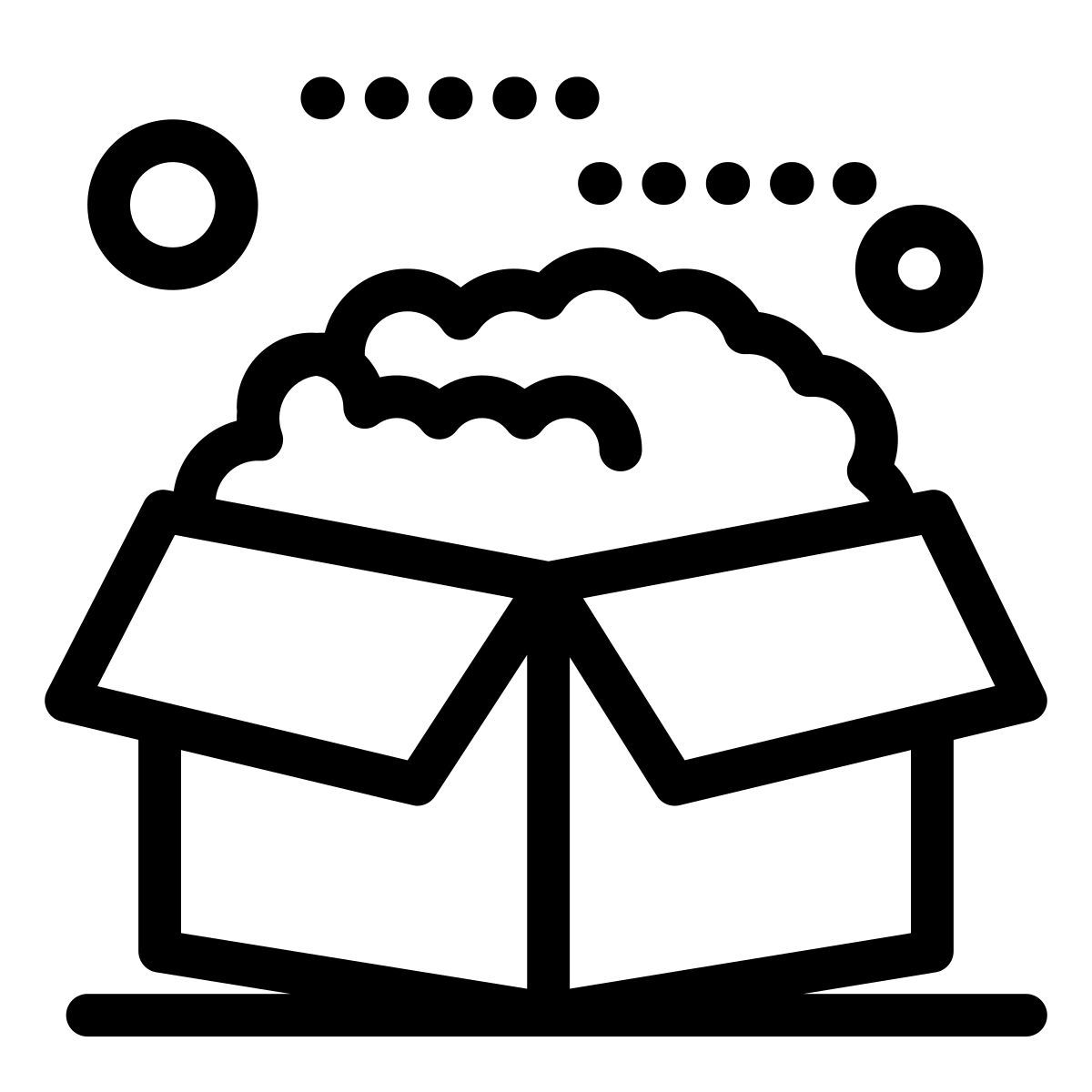 caixa icon
