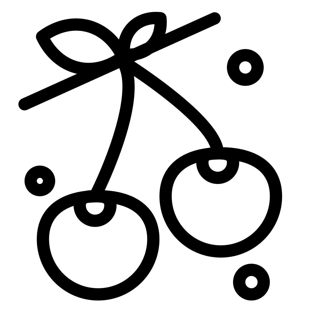 kirsche icon