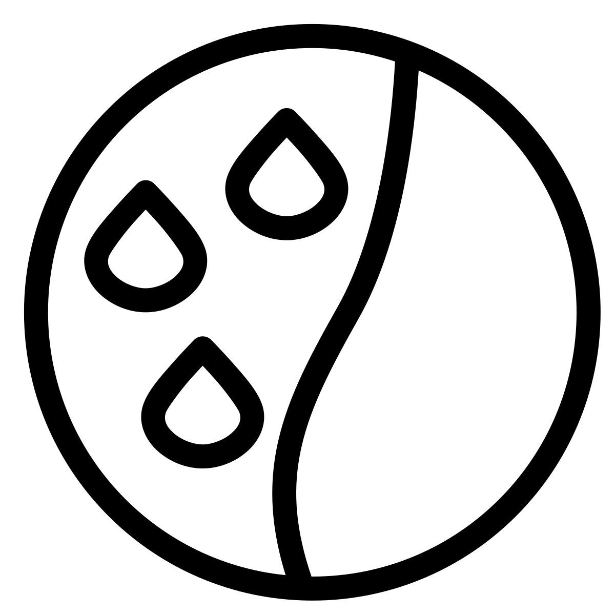 après shampoing icon