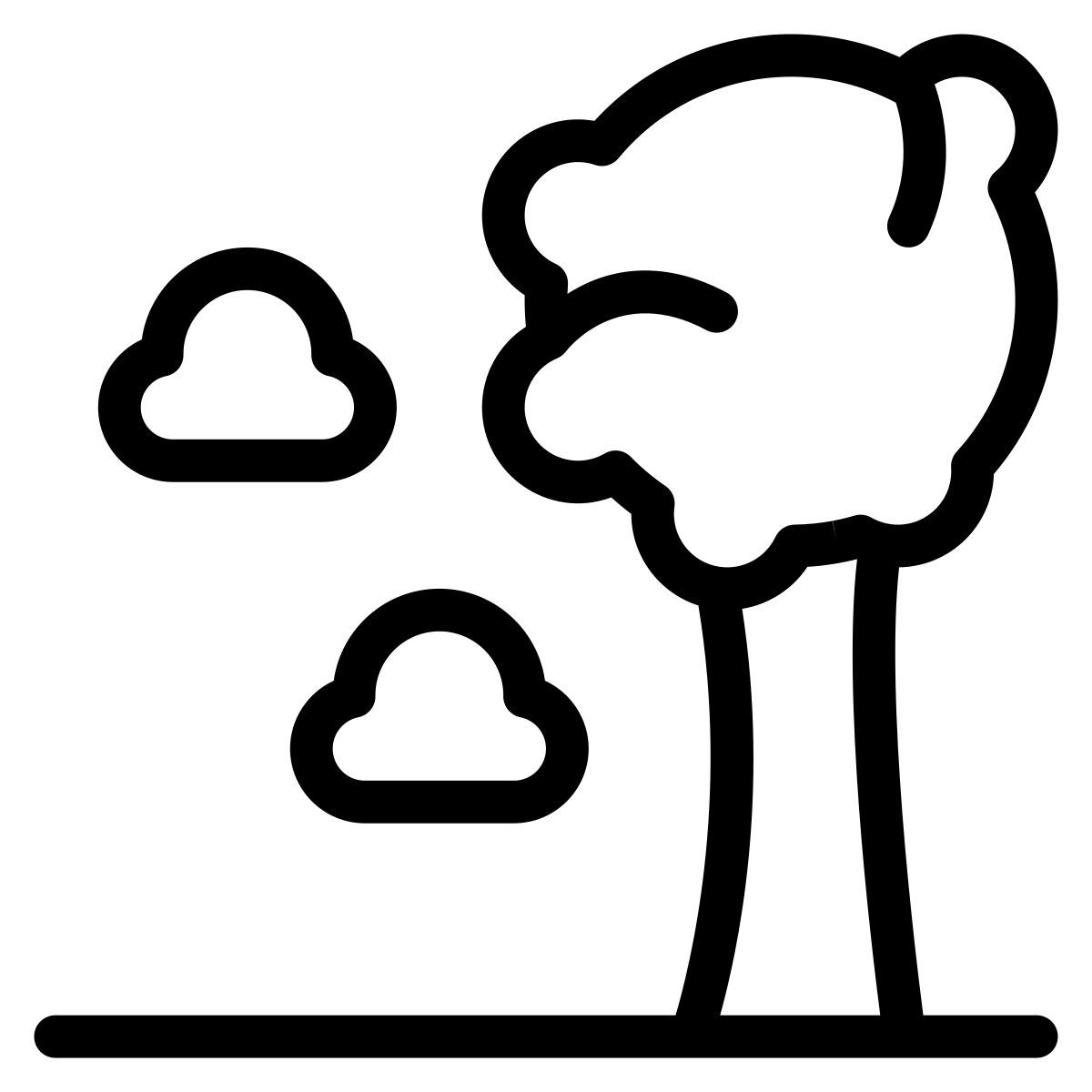 nature icon