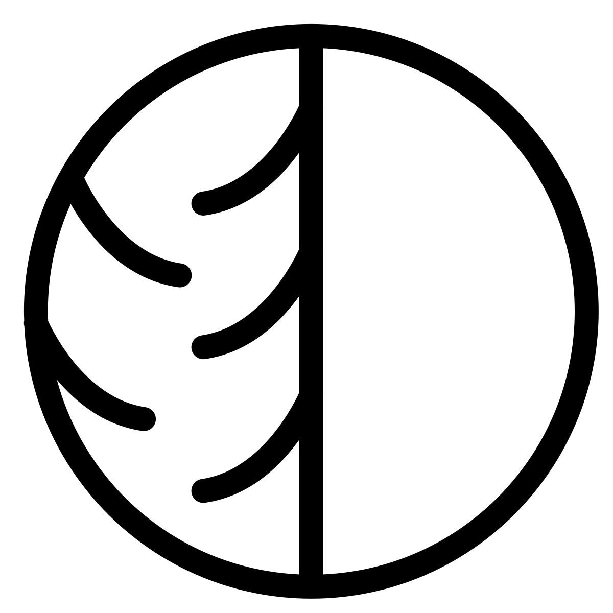 skin icon