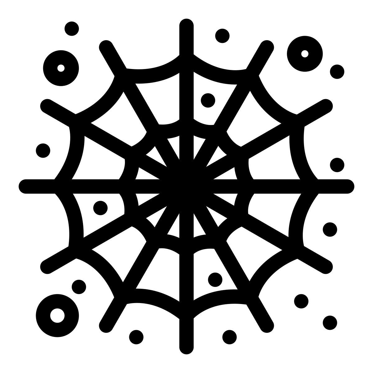 spider web icon