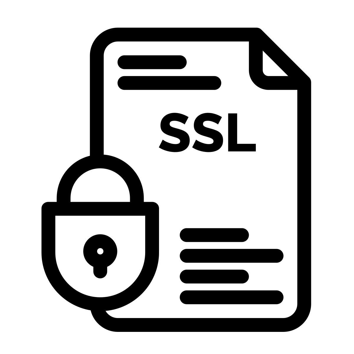 ssl icon