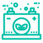 Green Icon