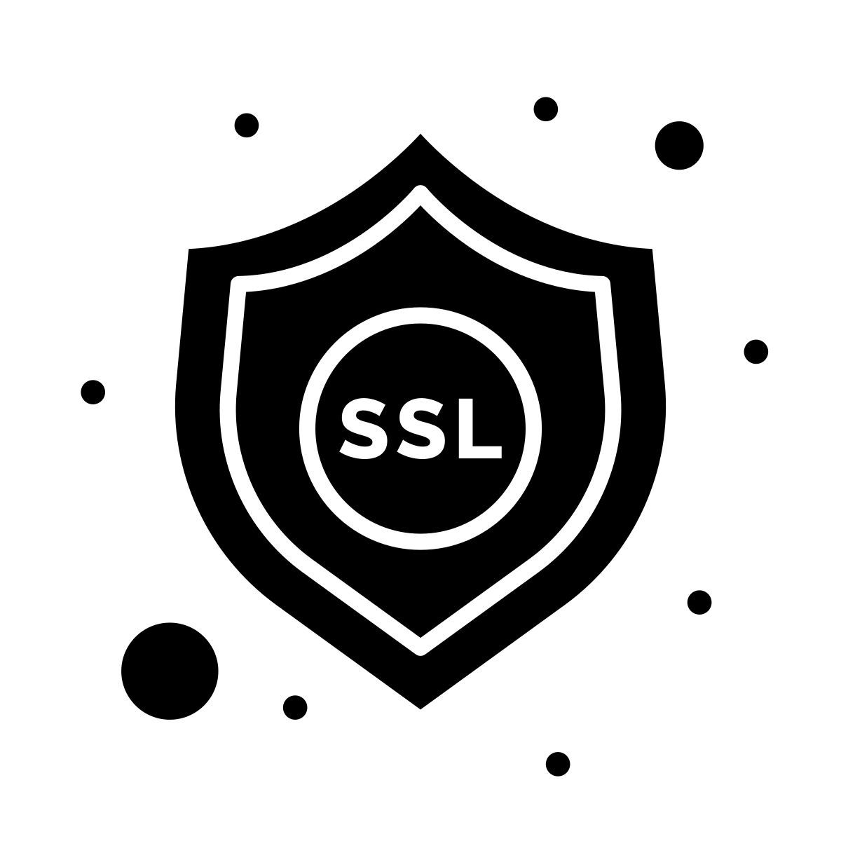 ssl icon