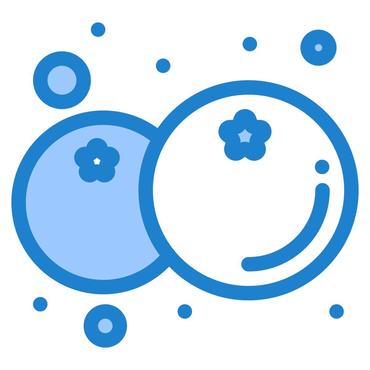 blueberry icon