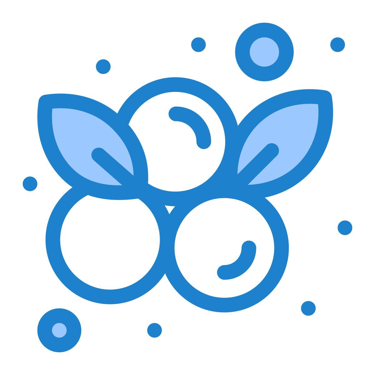 蓝莓 icon
