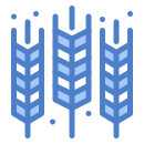 external Grain-agriculture-flatarticons-blue-flatarticons-3 icon