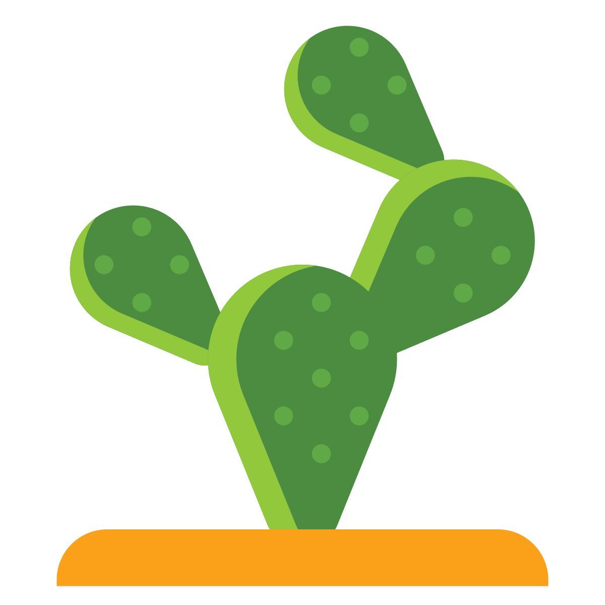 kaktus icon