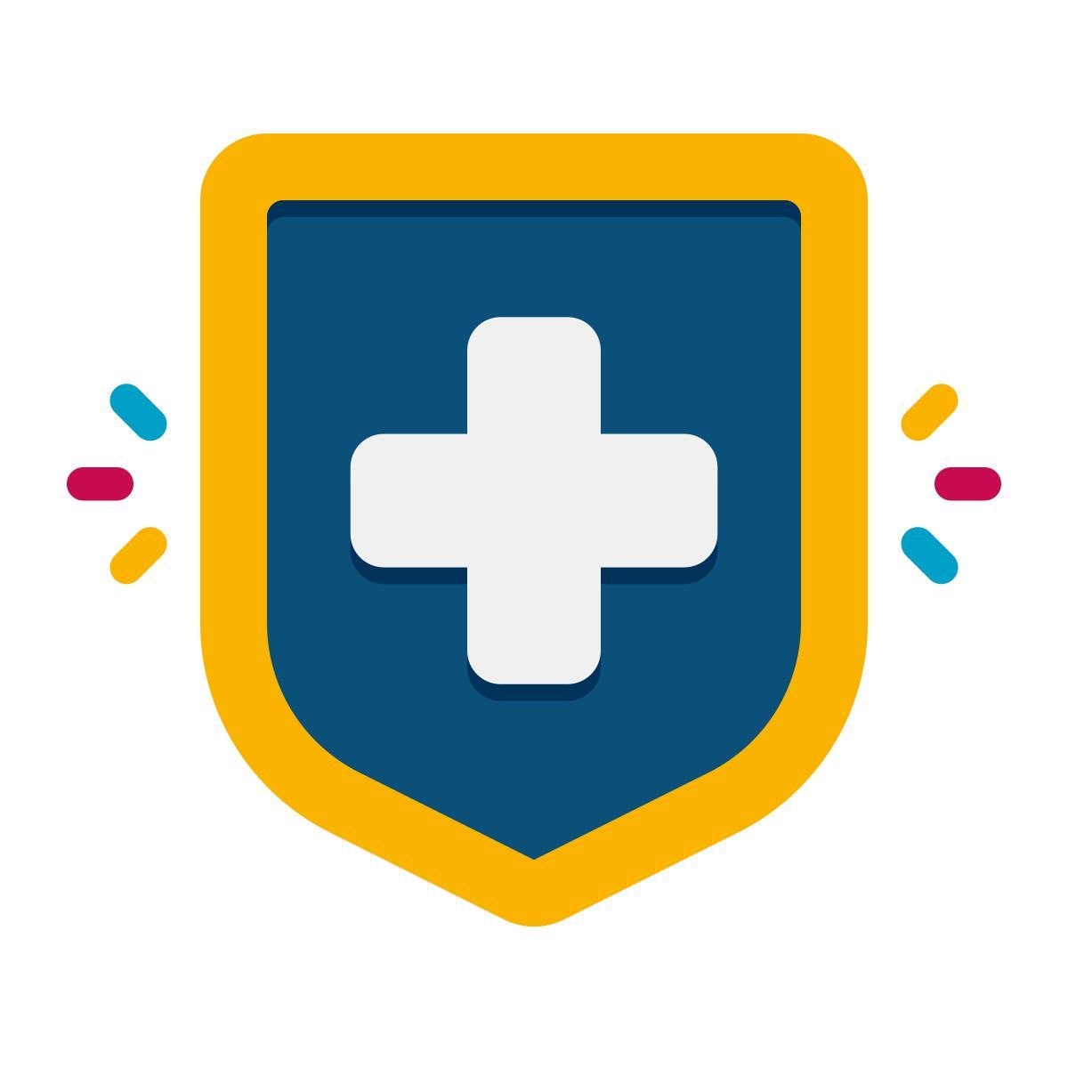 health insurance icon