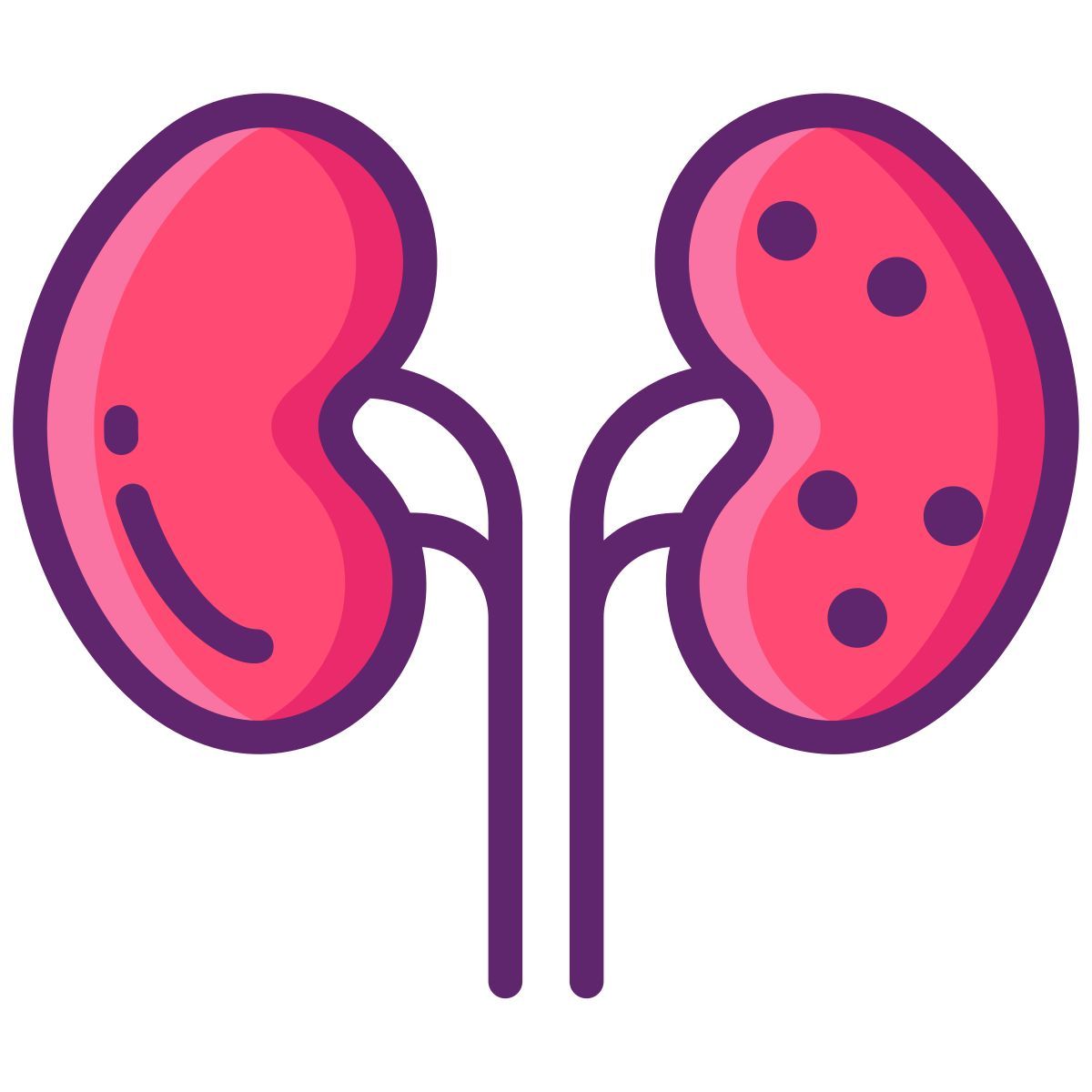 kidneys icon