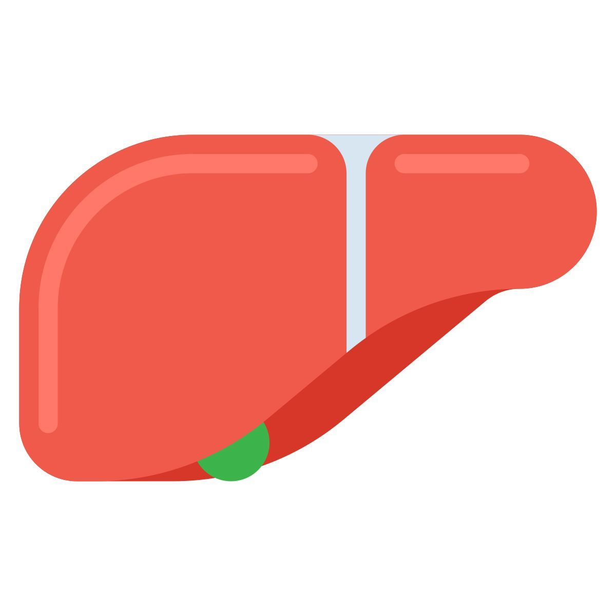 liver icon