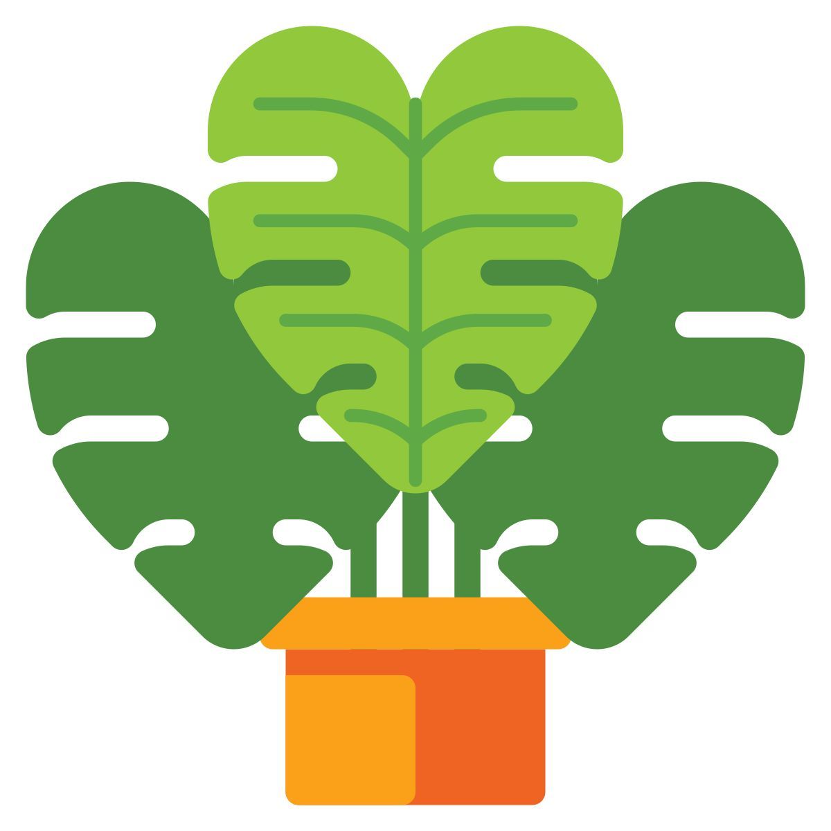 monstera icon