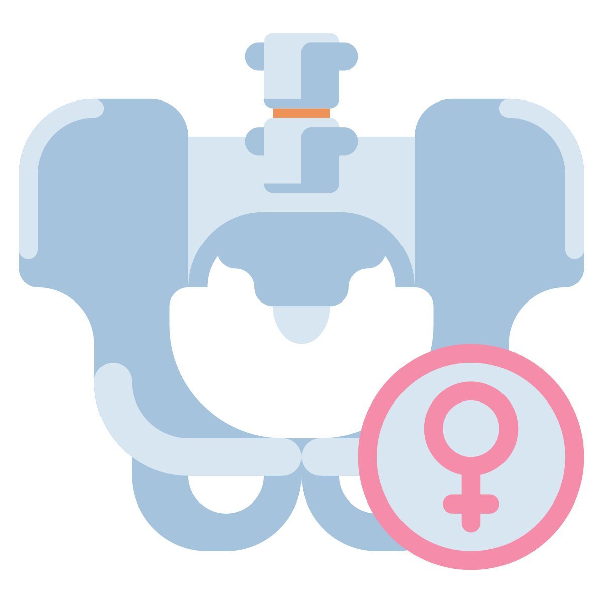 pelvis icon