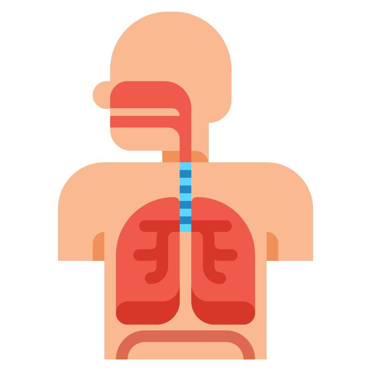 respiratory system icon