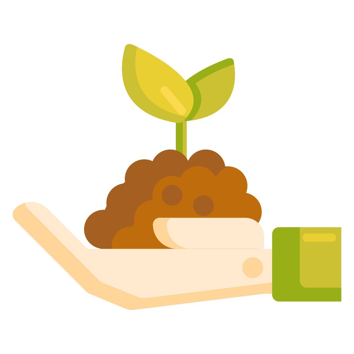 sprout icon
