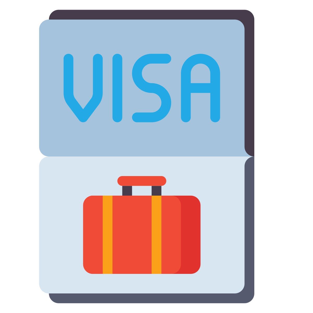 visa icon