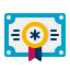 external certificate-resume-flaticons-flat-flat-icons icon
