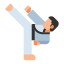 Taekwondo icon