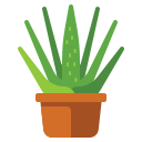 external aloe-vera-plants-flaticons-flat-flat-icons-2 icon