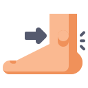 external ankle-anatomy-flaticons-flat-flat-icons icon