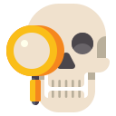 external anthropology-museum-flaticons-flat-flat-icons icon