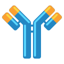 external antibodies-anatomy-flaticons-flat-flat-icons icon