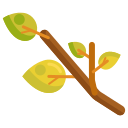 external branch-gardening-flaticons-flat-flat-icons icon
