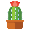 external cactus-plants-flaticons-flat-flat-icons-2 icon