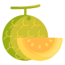 external melon-gardening-flaticons-flat-flat-icons icon