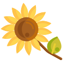 external sunflower-gardening-flaticons-flat-flat-icons icon