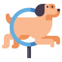 external training-dog-training-flaticons-flat-flat-icons icon